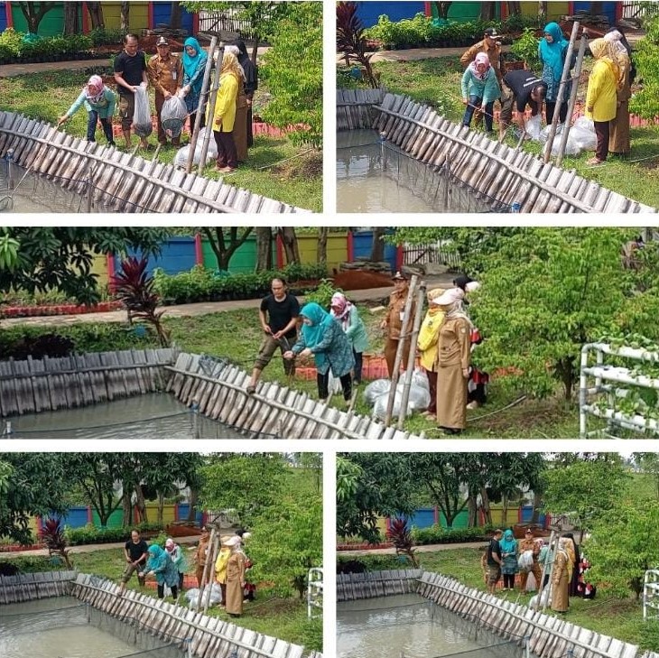 MENEBAR IKAN LELE DI KWT KP MANCING RW 008 