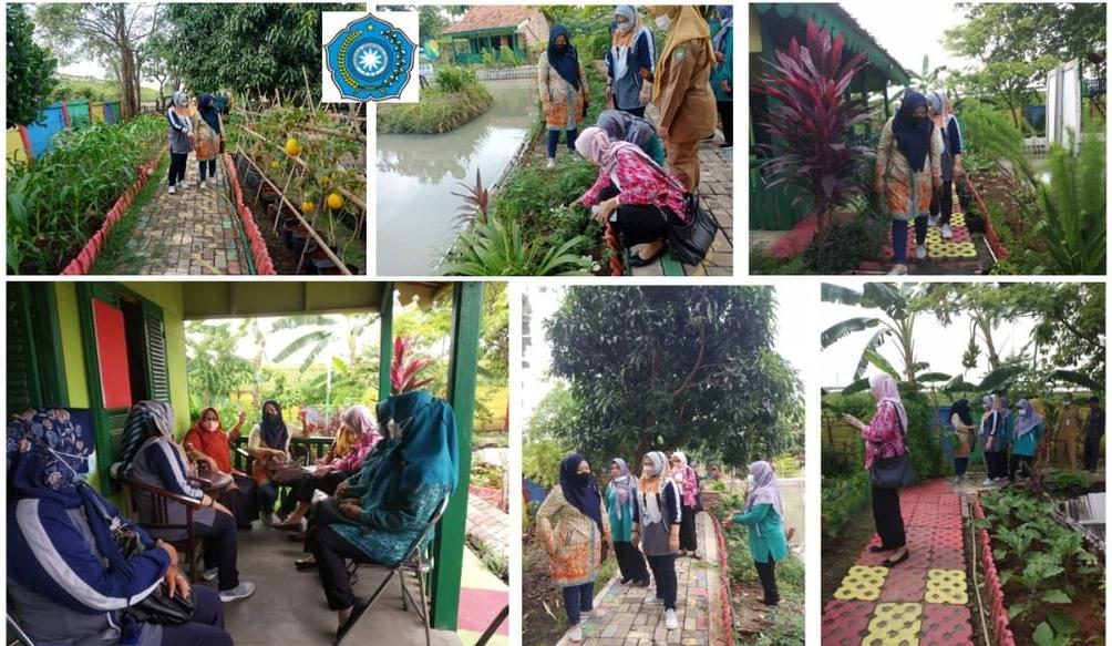 Pembinaan AKU HATINYA PKK oleh TP PKK Kota Tangerang