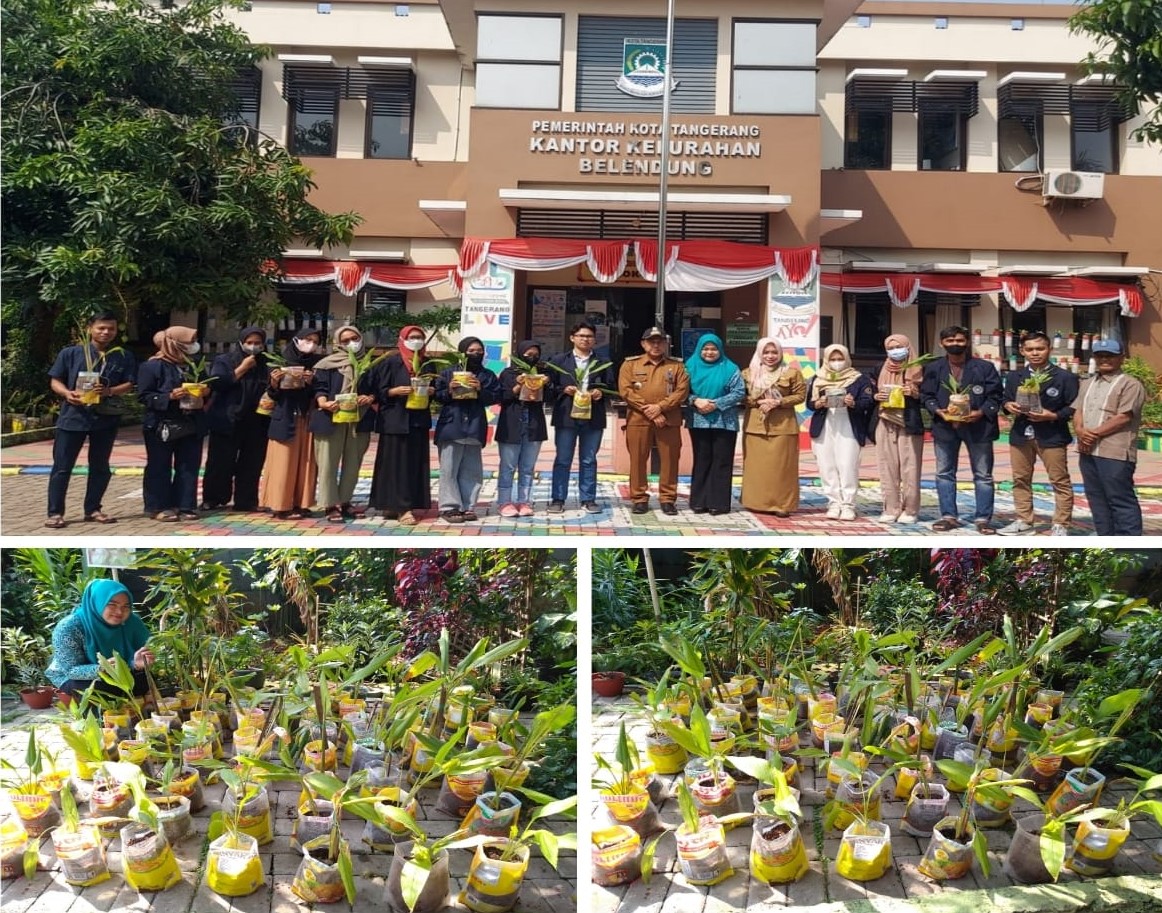 BANTUAN POHON TOGA UNTUK LOKASI AKU HATINYA PKK