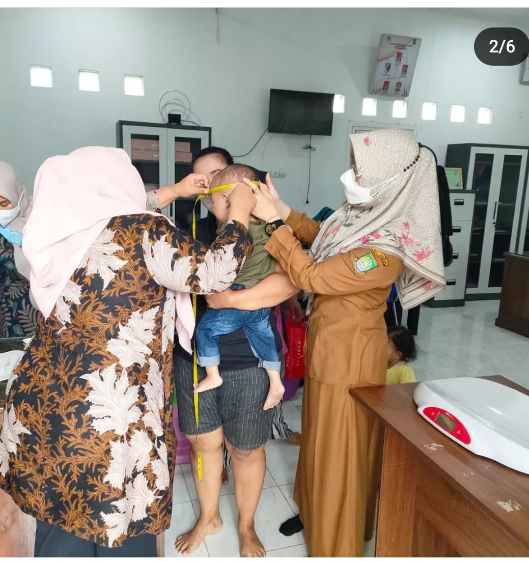 MONITORING GIAT POSYANDU