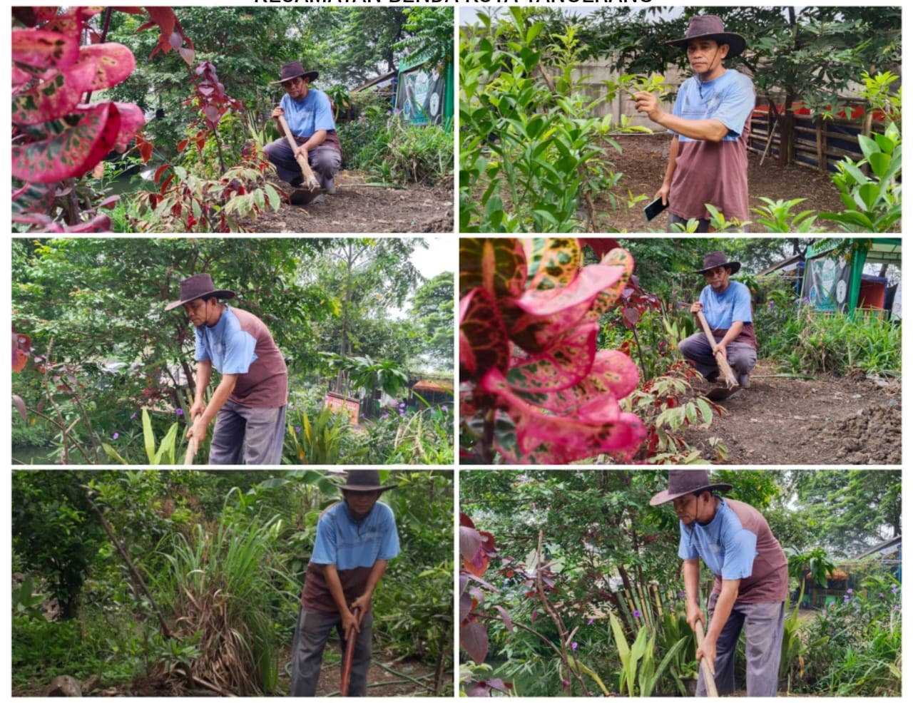 GIAT BERKEBUN DI WILAYAH RW.004